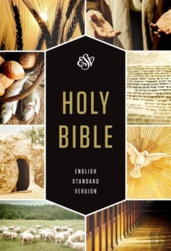 Bertrand.pt - Esv Holy Bible, Textbook Edition