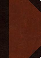Esv Journaling Bible, Interleaved Edition