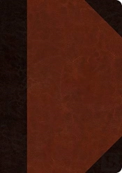 Esv Journaling Bible, Interleaved Edition