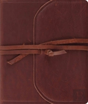 Esv Journaling Bible