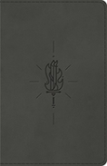 Esv Kid'S Bible, Thinline