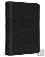 Esv Large Print Compact Bible, Red Letter