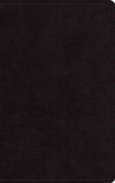 Esv Large Print Personal Size Bible, Red Letter