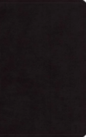 Esv Large Print Personal Size Bible, Red Letter