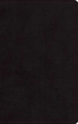 Bertrand.pt - Esv Large Print Personal Size Bible, Red Letter
