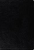Esv Macarthur Study Bible, Personal Size