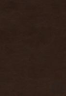 Esv Preaching Bible