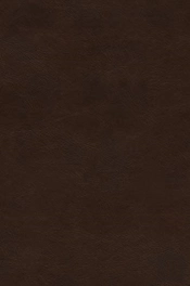 Esv Preaching Bible