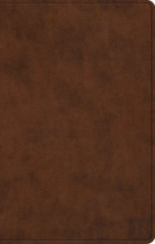 Esv Premium Gift Bible Trutone B