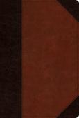 Esv Reader'S Bible