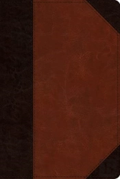 Esv Reader'S Bible