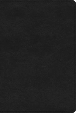 Bertrand.pt - Esv Single Column Heritage Bible
