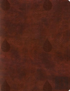 Esv Single Column Journaling Bible