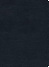 Esv Study Bible Trutone Navy