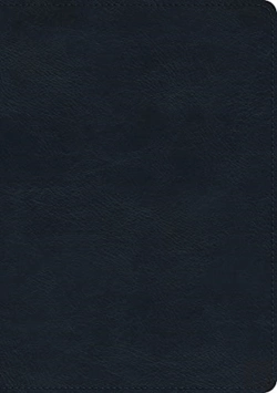 Bertrand.pt - Esv Study Bible Trutone Navy