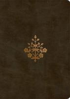 Esv Study Bible