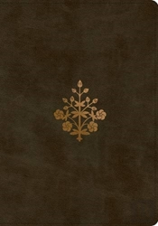 Esv Study Bible
