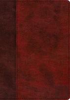 Esv Study Bible