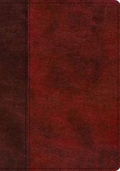 Esv Study Bible
