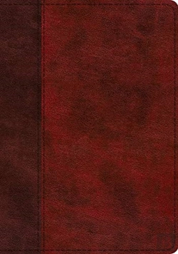 Bertrand.pt - Esv Study Bible