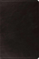Esv Systematic Theology Study Bible