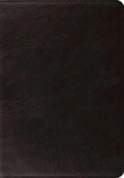 Esv Systematic Theology Study Bible