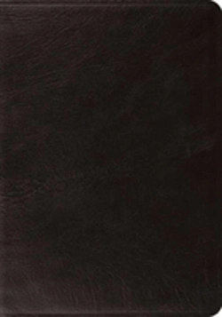 Bertrand.pt - Esv Systematic Theology Study Bible