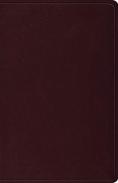 Esv Thinline Bible