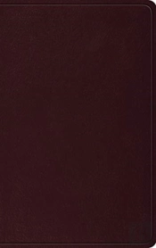 Esv Thinline Bible