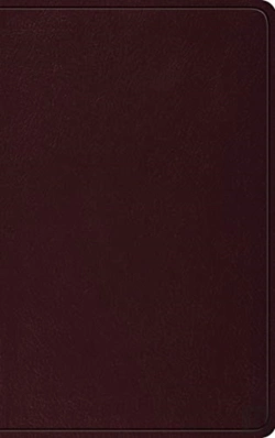 Bertrand.pt - Esv Thinline Bible