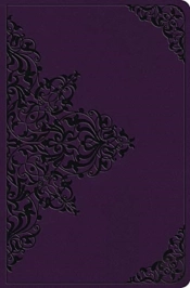 Esv Value Compact Bible Trutone