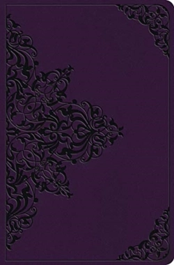 Bertrand.pt - Esv Value Compact Bible Trutone