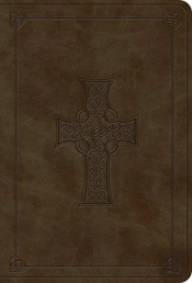 Esv Value Large Print Compact Bible