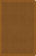 Esv Value Thinline Bible