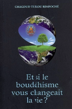 Bertrand.pt - Et Si Le Bouddhisme Vous Changeait La Vie ?