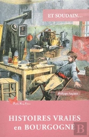 Et Soudain... : Histoires Vraies En Bourgogne