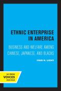 Ethnic Enterprise In America