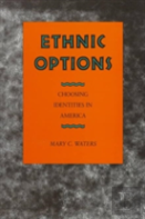Ethnic Options