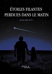 Étoiles Filantes Perdues Dans Le Matin