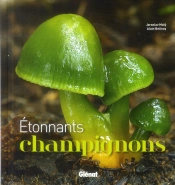 Étonnants Champignons