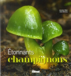 Bertrand.pt - Étonnants Champignons