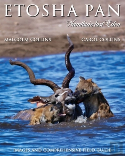 Bertrand.pt - Etosha Pan