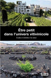 Être Petit Dans L'Univers Vitivinicole ; Études Et Échelles D'Un Atout
