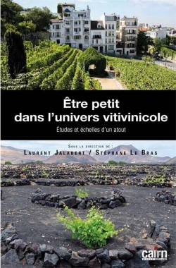 Bertrand.pt - Être Petit Dans L'Univers Vitivinicole ; Études Et Échelles D'Un Atout
