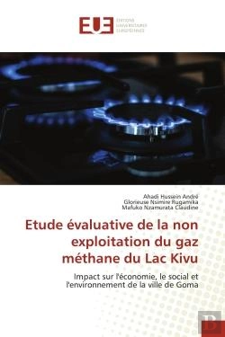 Bertrand.pt - Etude Evaluative De La Non Exploitation Du Gaz Methane Du Lac Kivu - Impact Sur L'Economie, Le Socia