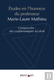 Études En L'Honneur Du Professeur Marie Laure Mathieu ; Comprendre : Des Mathématiques Au Droit