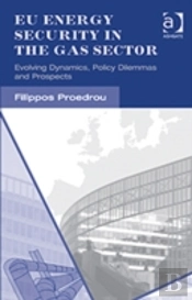 Eu Energy Security In The Gas Sector