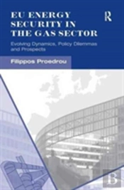 Eu Energy Security In The Gas Sector