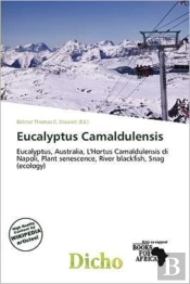 Eucalyptus Camaldulensis