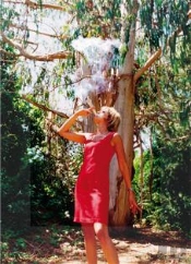 Eucalyptus
